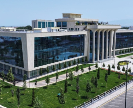 British Management University