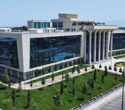 British Management University